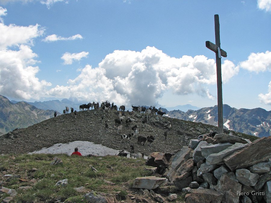 Masoni 119.jpg - Dalla piccola croce in legno di cima Masoni... caprette, montagne, nuvole e la croce